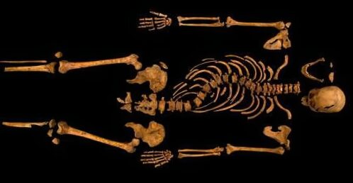 The Skeleton of Richard III